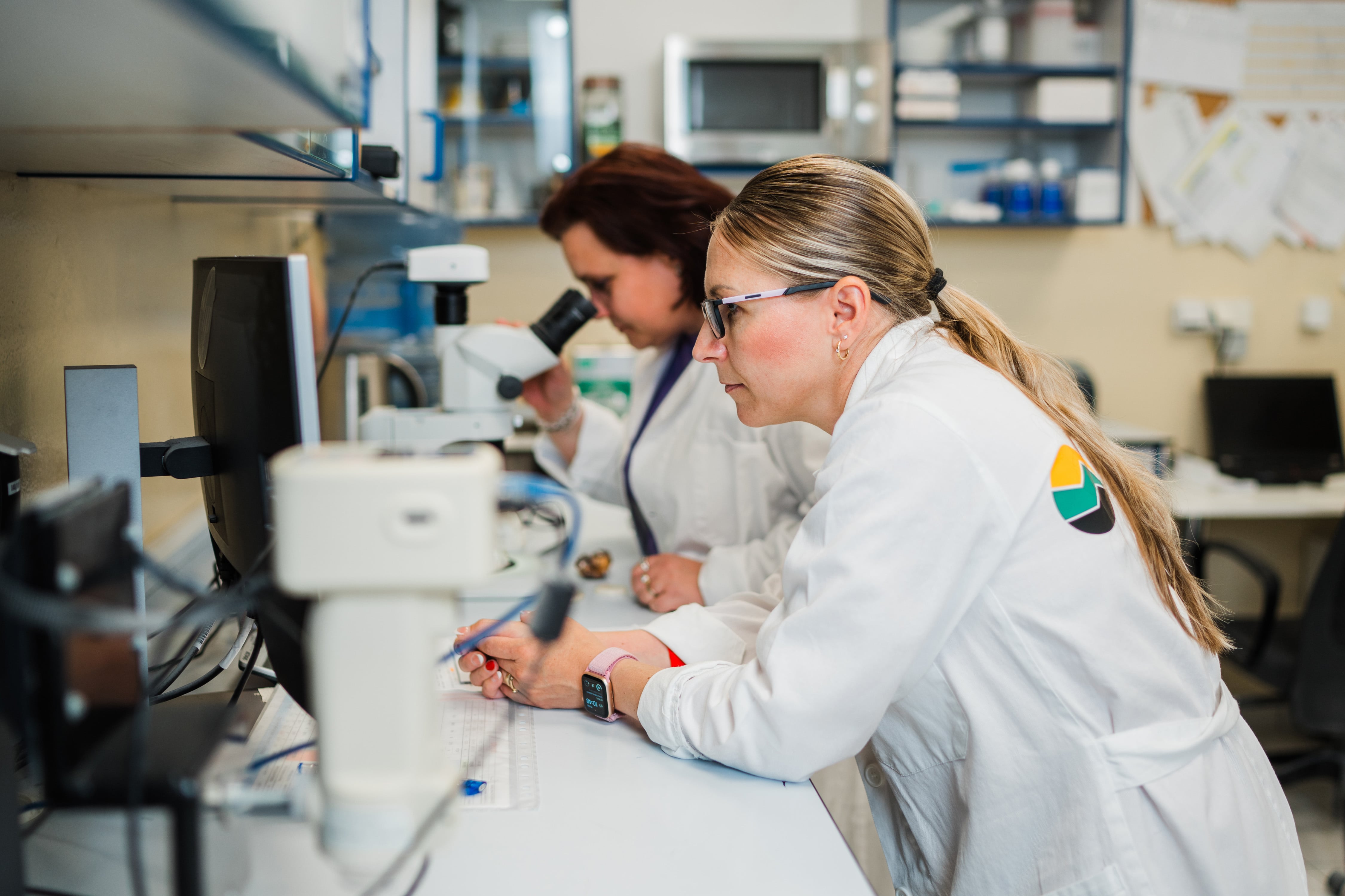 Laboratoř - pohled 1