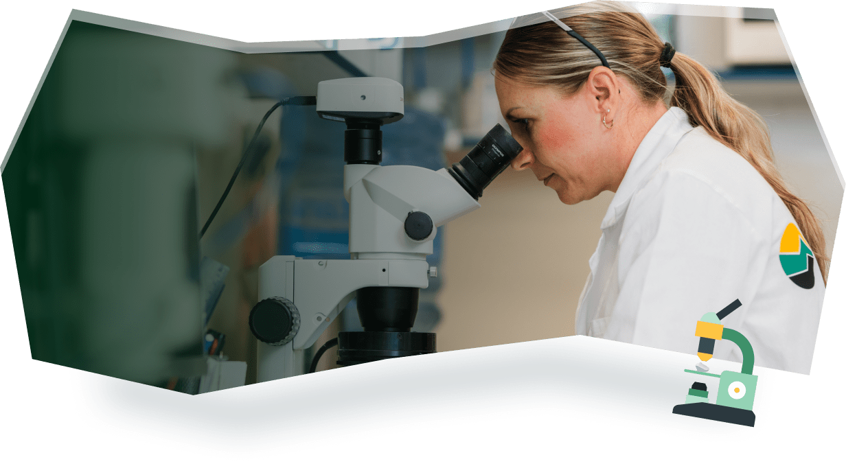 Úvodní foto KMK laboratoře